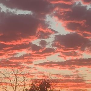 Meet your Posher, Robbie